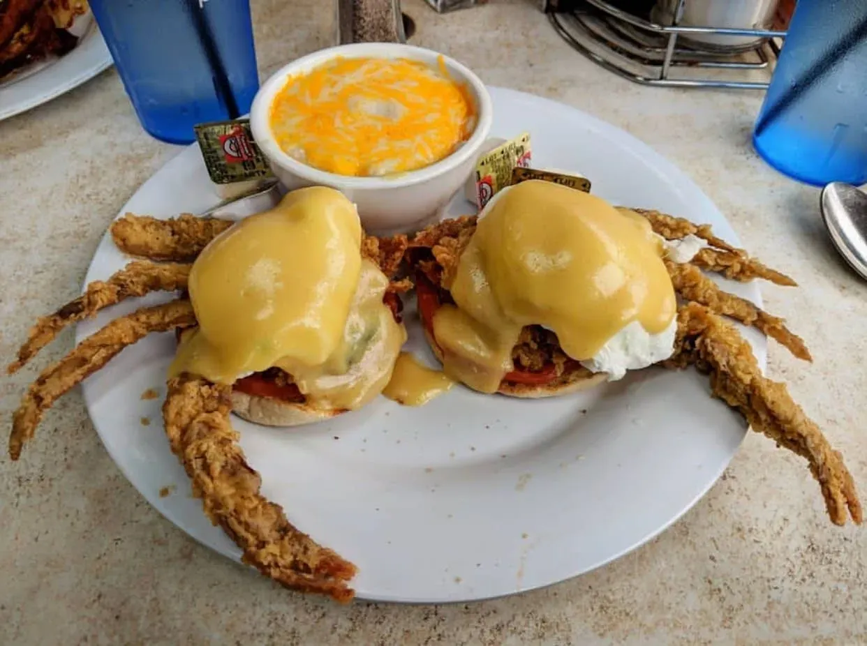 The Appeal of a Brunch Buffet in Virginia Beach